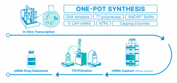one-pot synthesis