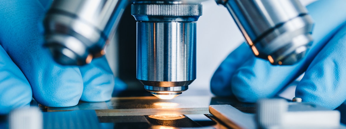 microscope development plasmid dna