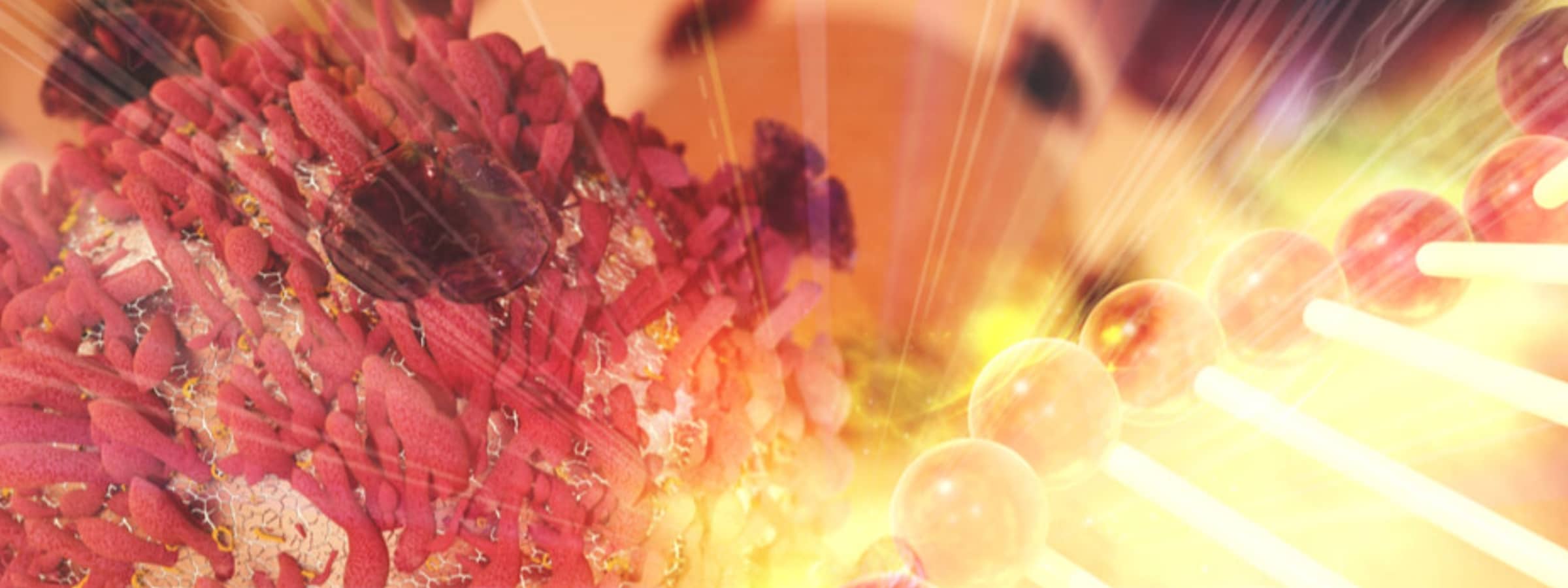 manufacturing platform mrna