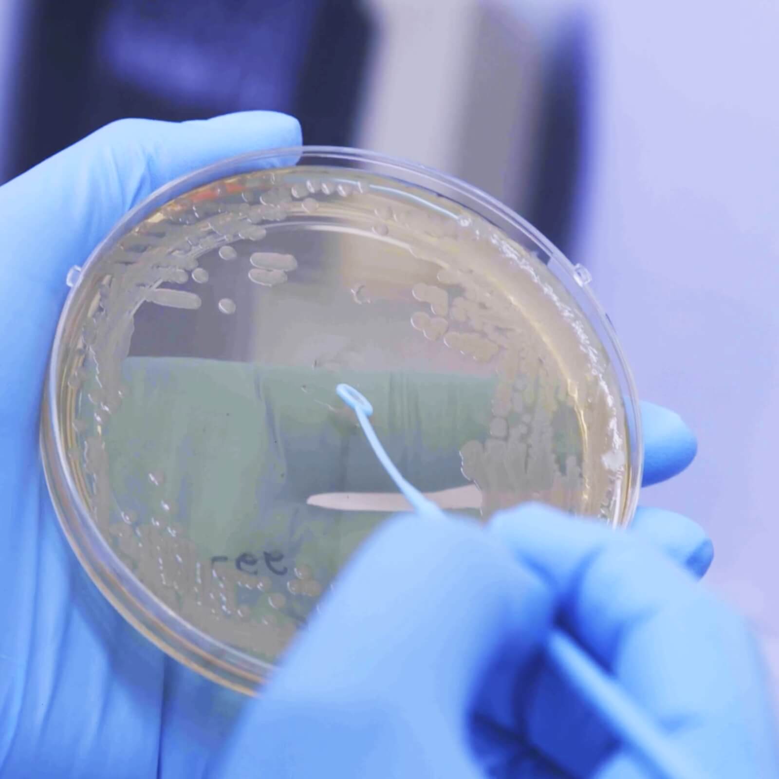 detail laboratory research biotech