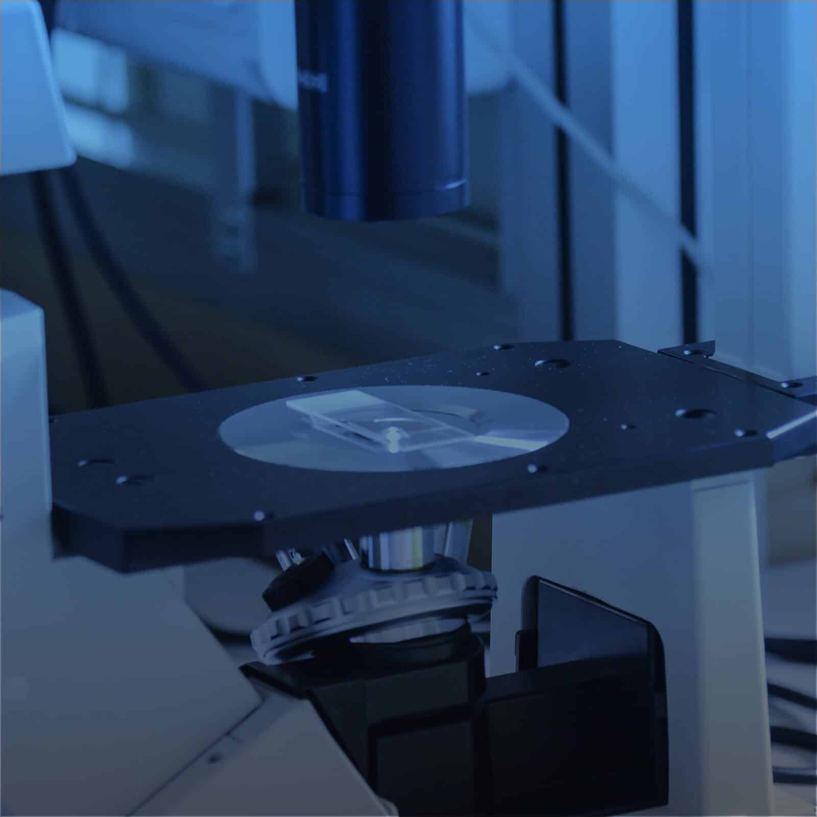 microscope mrna production