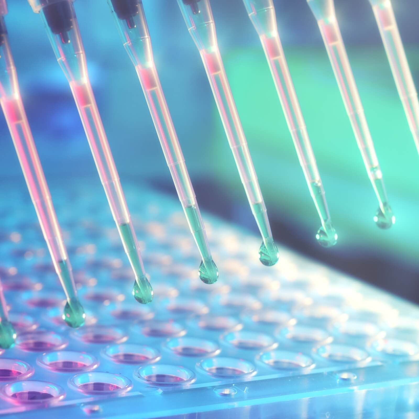 plasmid dna details process