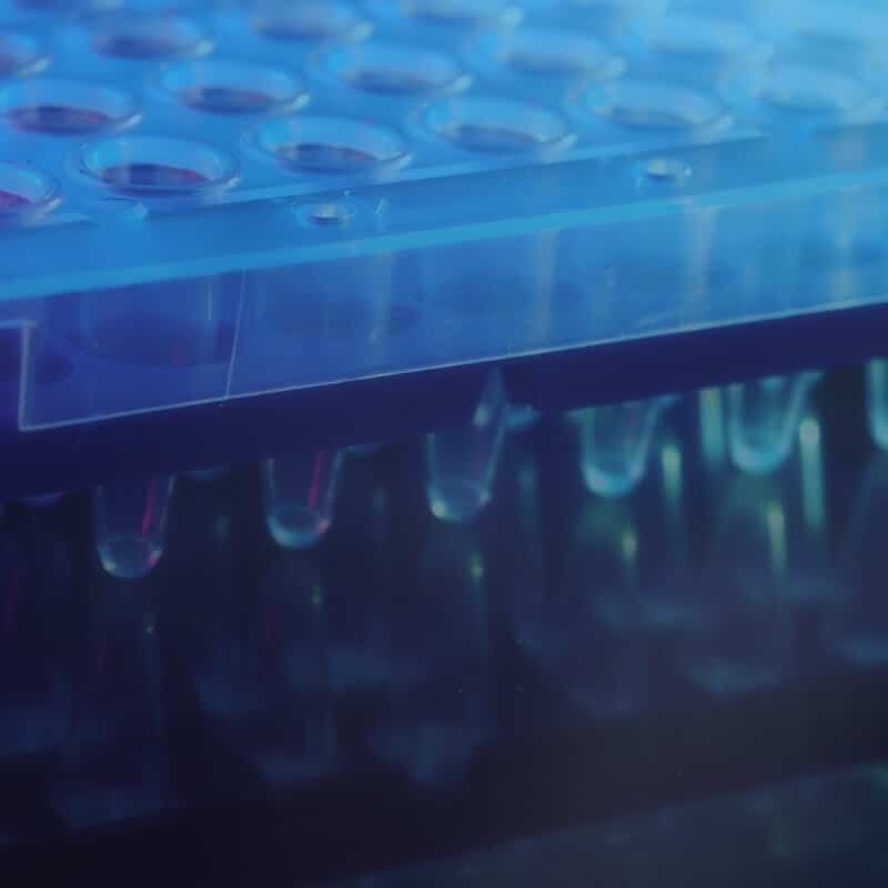 plasmid dna details process step image