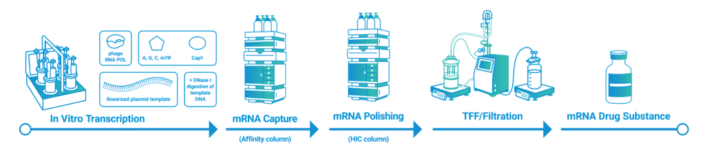 mrna manufacturing process