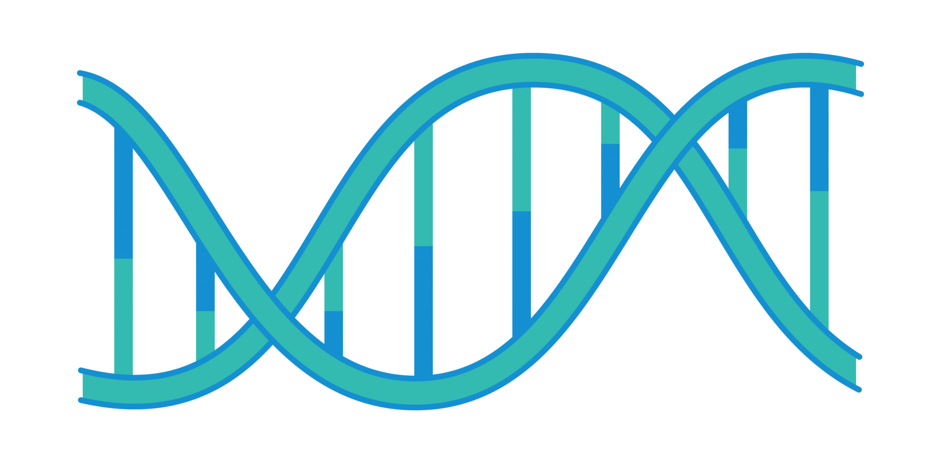 plasmid dna sequence