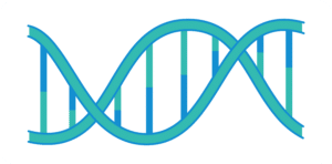 plasmid dna sequence