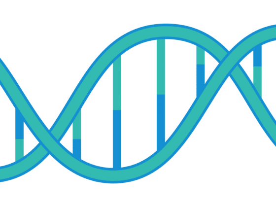 plasmid dna sequence