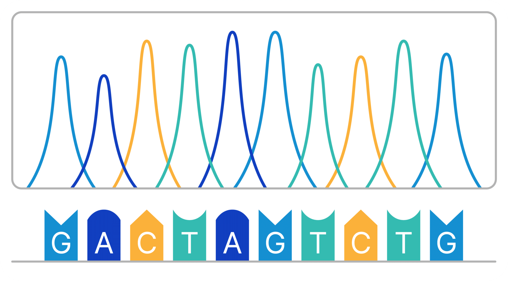 sequencing plasmid in gene therapy