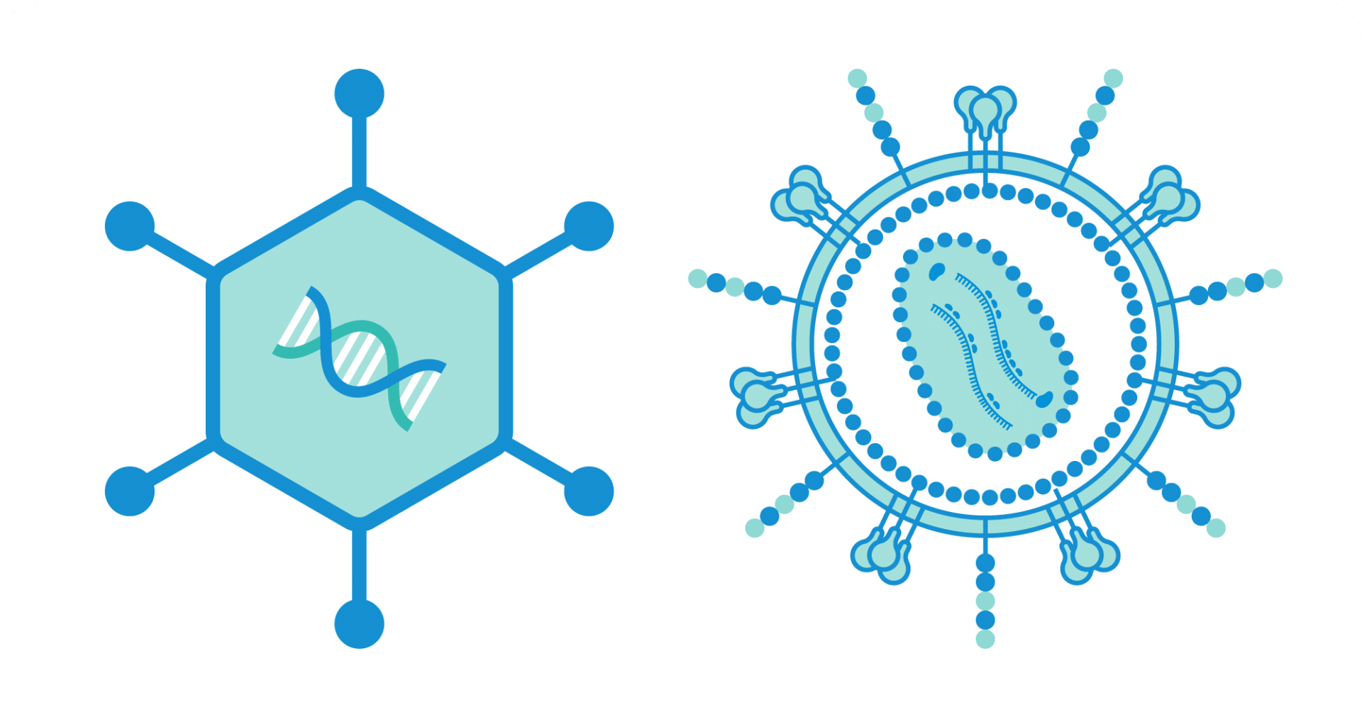 plasmids for Lentivirus and AAV manufacturing