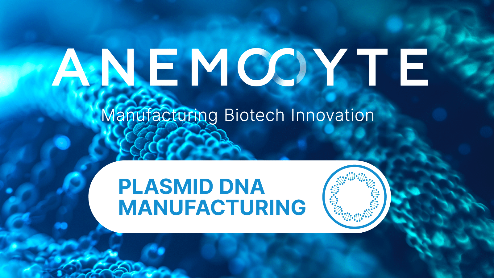 plasmid dna manufacturing news