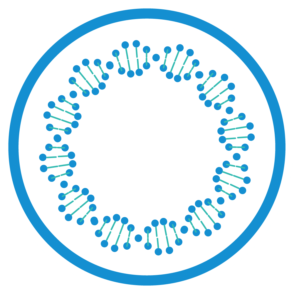 plasmid dna image