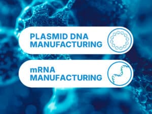 plasmid and mrna manufacturing