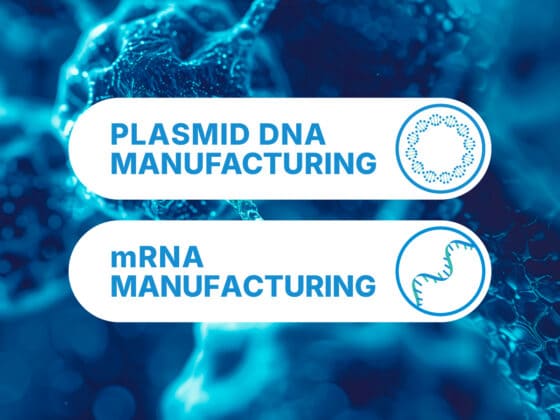 plasmid and mrna manufacturing